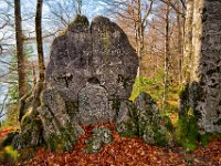 2013.10.31_132645_Auerberg und Königsschlösser Herbst_HDR_2.jpg